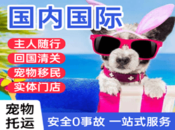 秦皇岛航空运输国际宠物托运 【国